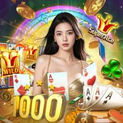 voj8bet com