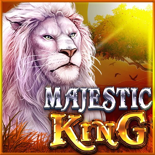 vbet promo code